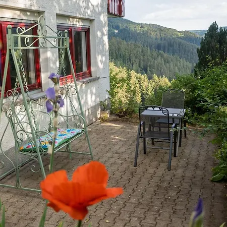 Hansjoergenhof Bioland-hof Apartamento Schiltach