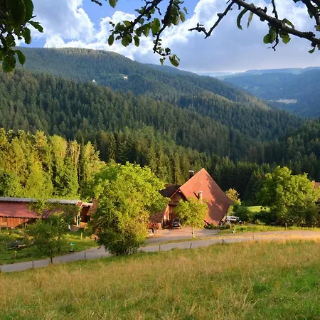 Apartamento Hansjoergenhof Bioland-hof Schiltach