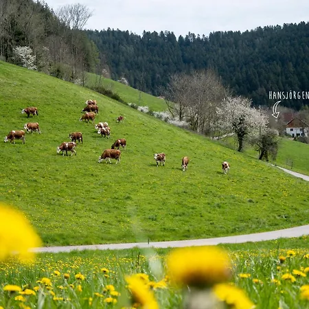 Apartamento Hansjoergenhof Bioland-hof Schiltach