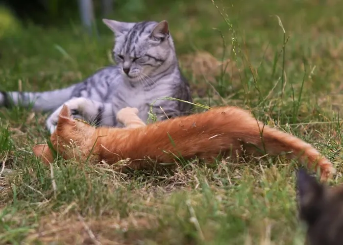 Hansjoergenhof Bioland-hof شقة شيلتاخ