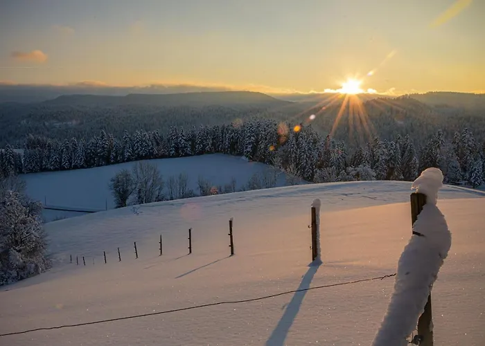 Hansjoergenhof Bioland-hof