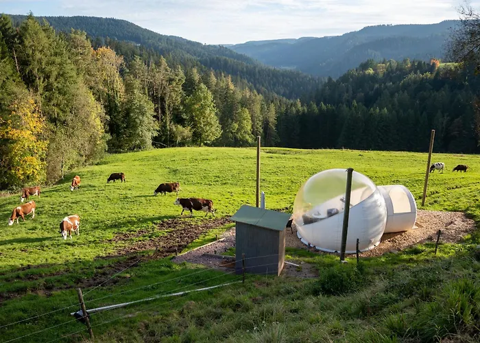 شقة Hansjoergenhof Bioland-hof شيلتاخ