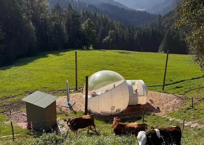 Hansjoergenhof Bioland-hof شقة